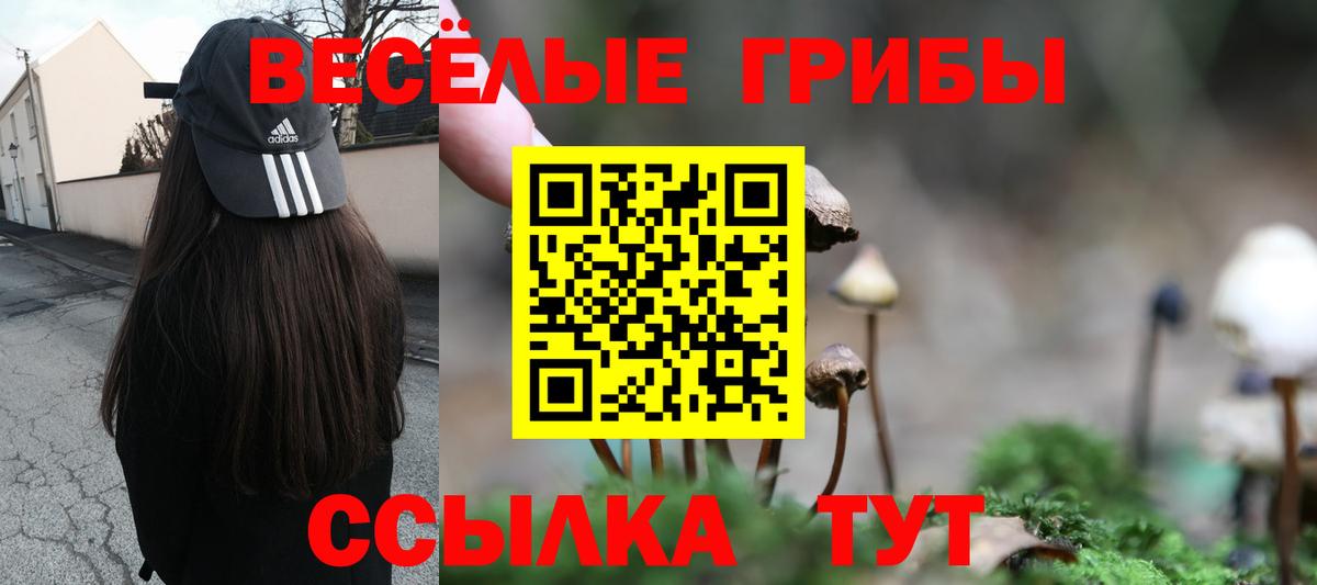 Галлюциногенные грибы Psilocybe Переславль-Залесский